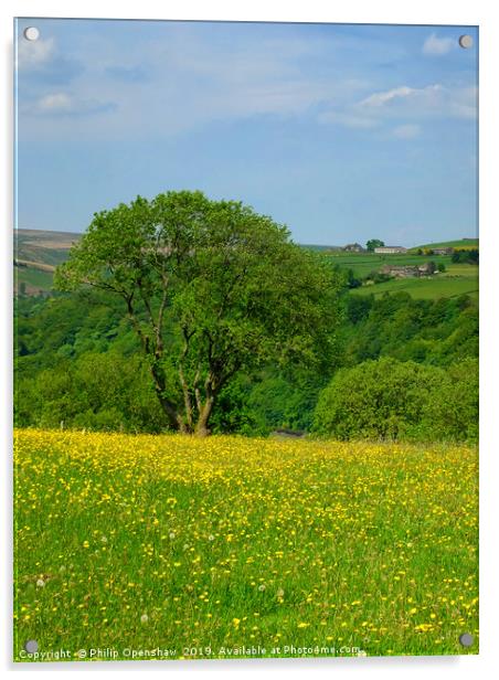 spring meadow and flowers Acrylic by Philip Openshaw