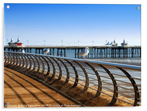 seagulls perched on railings on the promenade in b Acrylic by Philip Openshaw