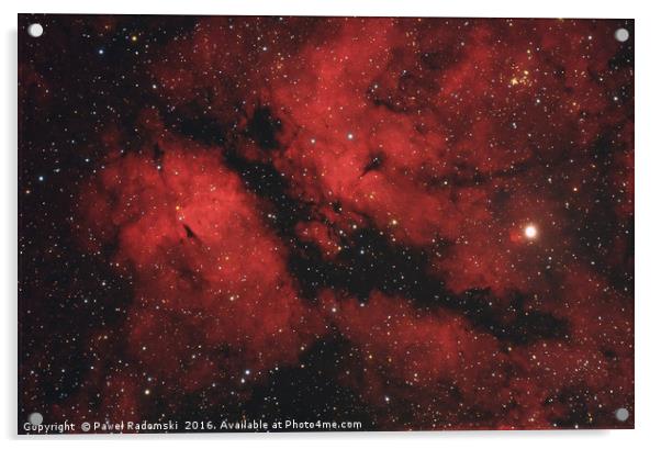 Butterfly nebula in Cygnus constellation Acrylic by Paweł Radomski