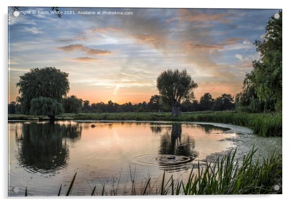 Serene sunsetting over Bushy Park Acrylic by Kevin White
