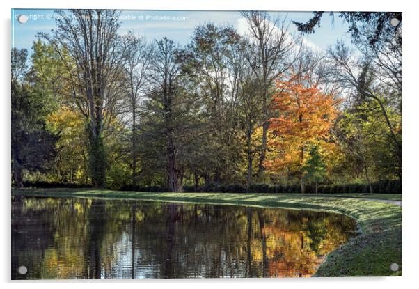 Autumn colours beside lake Acrylic by Kevin White