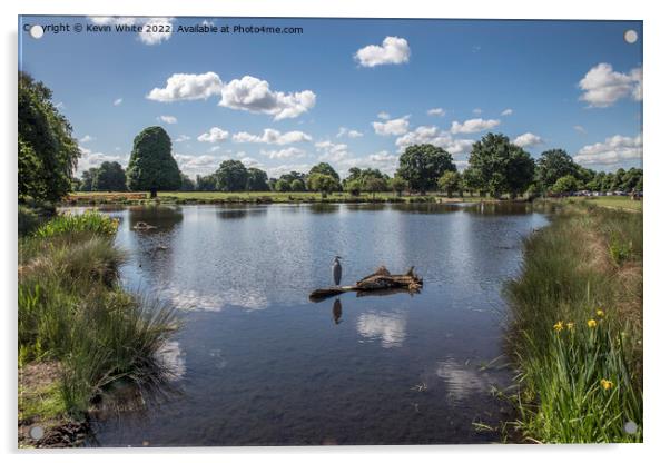 Pond near carpark Bushy Park Acrylic by Kevin White