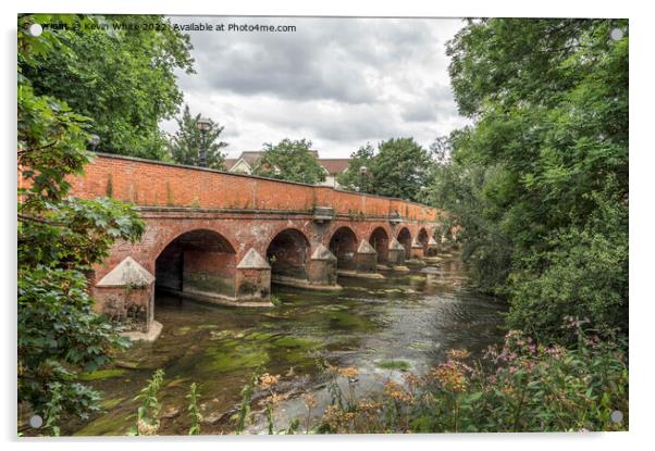Old road bridge in Leatherhead Surrey Acrylic by Kevin White