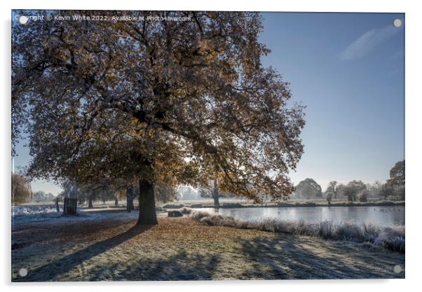 Morning December frost at Bushy Park Surrey Acrylic by Kevin White