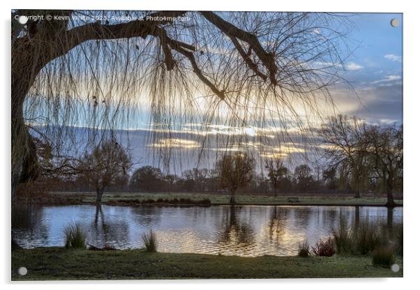 Sunrise in early January at Bushy Park Acrylic by Kevin White