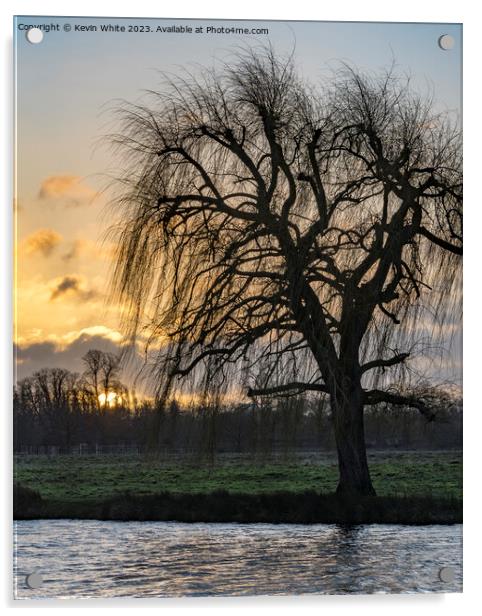 Winter sunrise with willow tree silhouette Acrylic by Kevin White