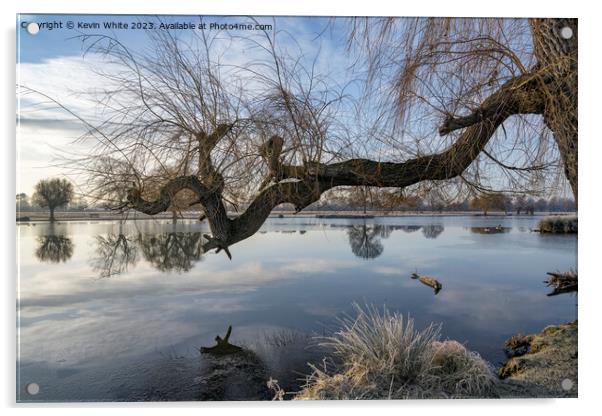 Old Weeping Willow tree branch reaching out over pond Acrylic by Kevin White