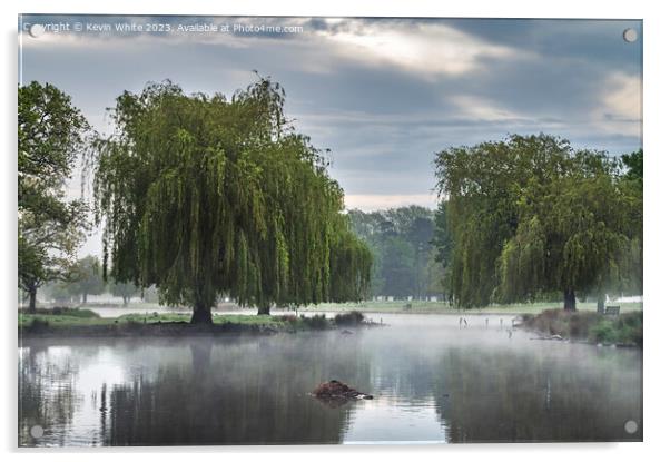 Weeping Willow and hovering mist Acrylic by Kevin White