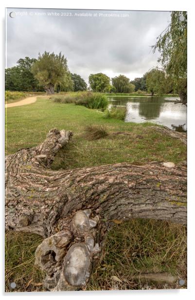 Walk and cycle path with natural log seat Acrylic by Kevin White