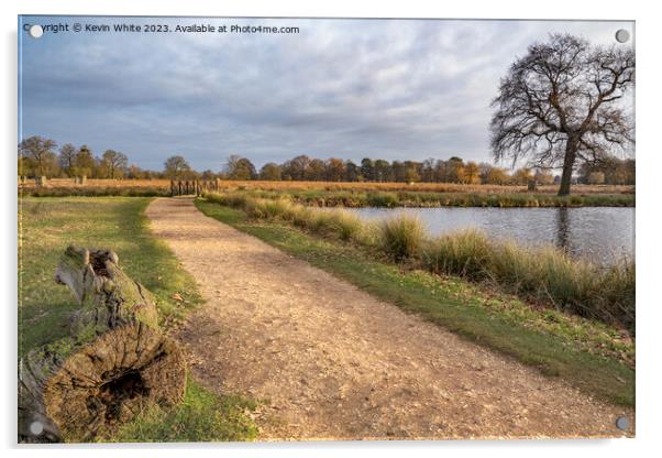 Cycle and walking path around ponds at Bushy Park Acrylic by Kevin White