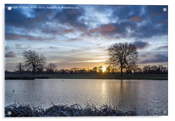Mid winter sunrise at Bushy Park Acrylic by Kevin White