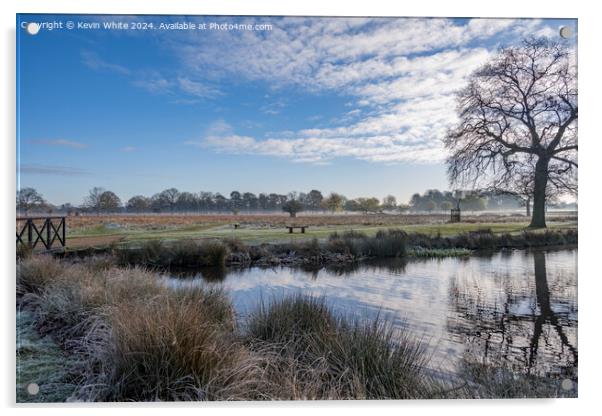 Fresh morning walk around the ponds Acrylic by Kevin White