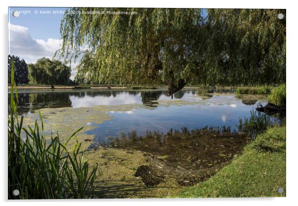 Ponds at Bushy Park Acrylic by Kevin White