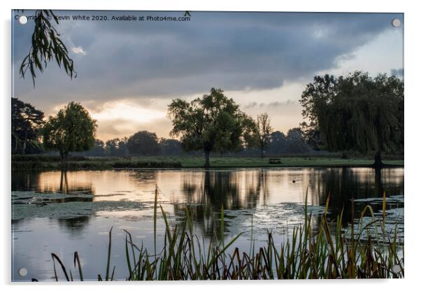 Early morning view at Bushy Park Acrylic by Kevin White
