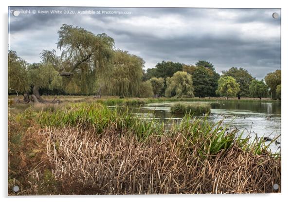 Bushy Park cloudy morning Acrylic by Kevin White