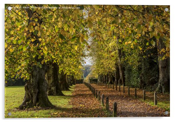 Polesden Lacey autumn walk Acrylic by Kevin White