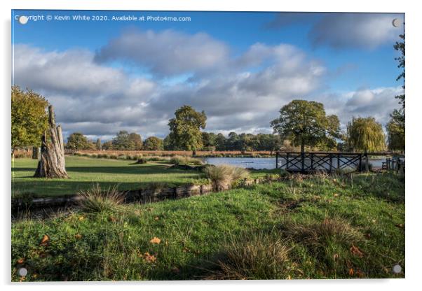 Bushy Park easy walk Acrylic by Kevin White