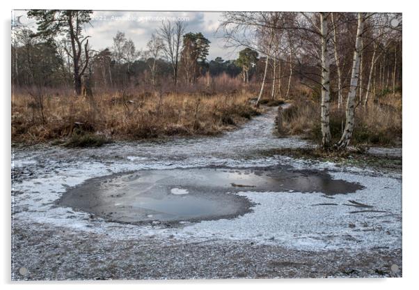 Frozen path at ockham common Acrylic by Kevin White