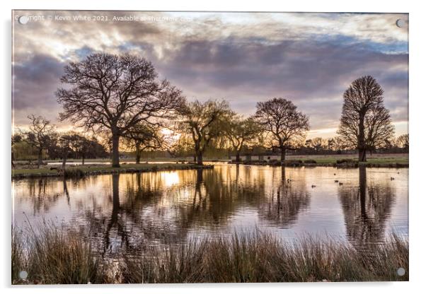 Bushy Park at sunrise in March Acrylic by Kevin White