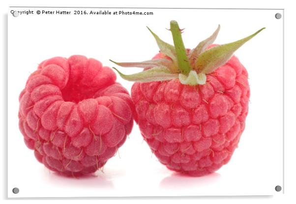 Two Raspberries Acrylic by Peter Hatter