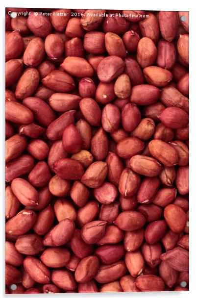 Red Skin Peanuts Acrylic by Peter Hatter