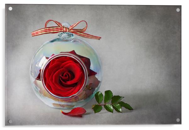 Single Red Rose Acrylic by Jacky Parker