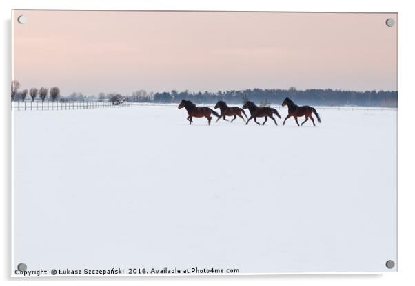 Four horses galloping on snowy paddock Acrylic by Łukasz Szczepański
