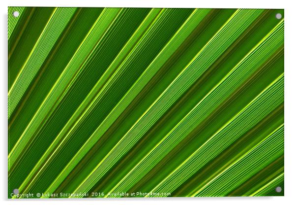 Green palm leaf close-up Acrylic by Łukasz Szczepański