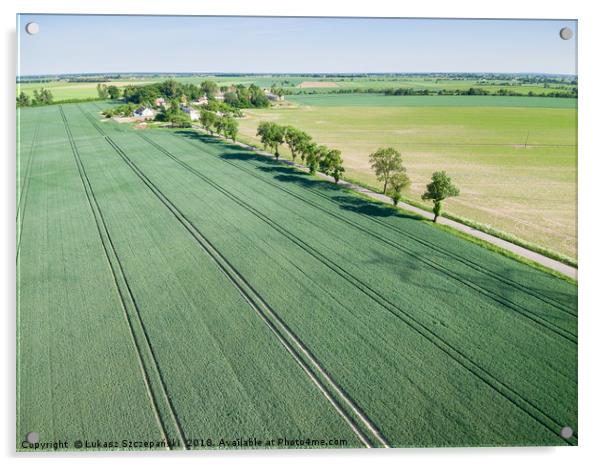 Aerial view of country road and village Acrylic by Łukasz Szczepański