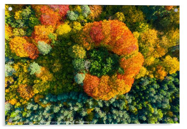 Aerial top down view of vibrant colorful autumn fo Acrylic by Łukasz Szczepański