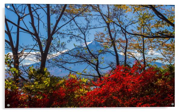 Mt Fuji through the autumn trees Acrylic by Kevin Livingstone