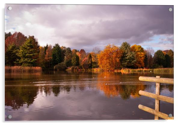 Autumn reflections Acrylic by Linda Cooke
