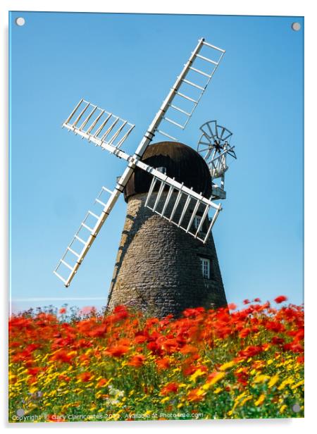 The Flowering Windmill Acrylic by Gary Clarricoates