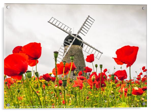 Whitburn Windmill with Poppies Acrylic by Gary Clarricoates