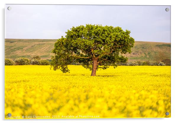 A Golden Oak Acrylic by Gary Clarricoates