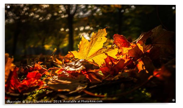 Autumn Leaves Acrylic by Gary Clarricoates