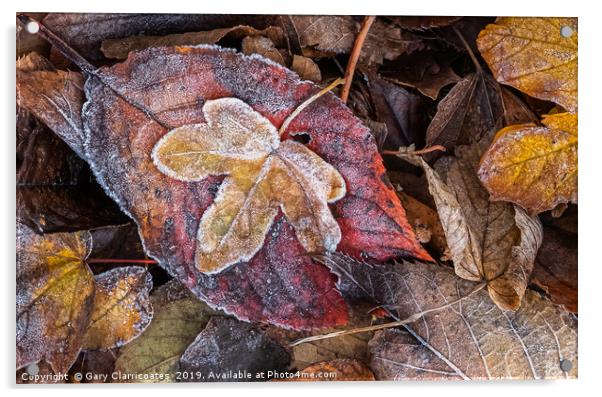 Frosty Autumn Leaves Acrylic by Gary Clarricoates
