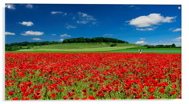 Girl in a field of red poppies at Badbury Rings Acrylic by Alan Hill