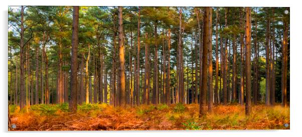 New Forest trees in autumn Acrylic by Alan Hill