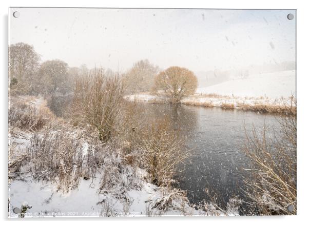 Falling snow over the Teviot River in the Scottish Borders, UK Acrylic by Dave Collins