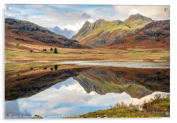 Outdoor Reflections in Blea Tarn in the Langdales hanging Valley in the Lake District, Cumbria, England Acrylic by Dave Collins