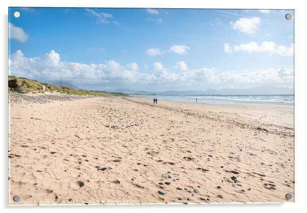 Banna Strand Beach in County Kerry, Ireland Acrylic by Dave Collins