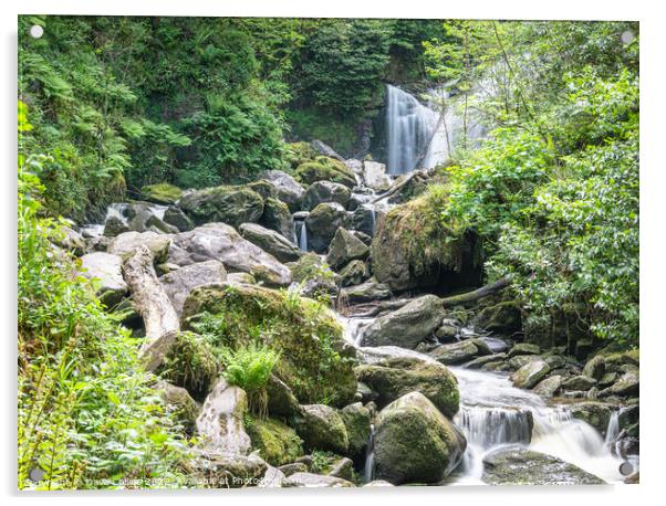 Torc Waterfall in  Killarney National Park in County Kerry, Ireland Acrylic by Dave Collins