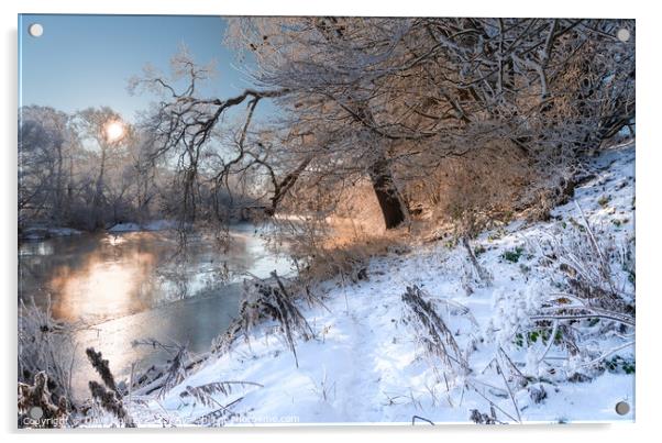 Sunrise over the River Teviot after snow in the Scottish Borders Acrylic by Dave Collins