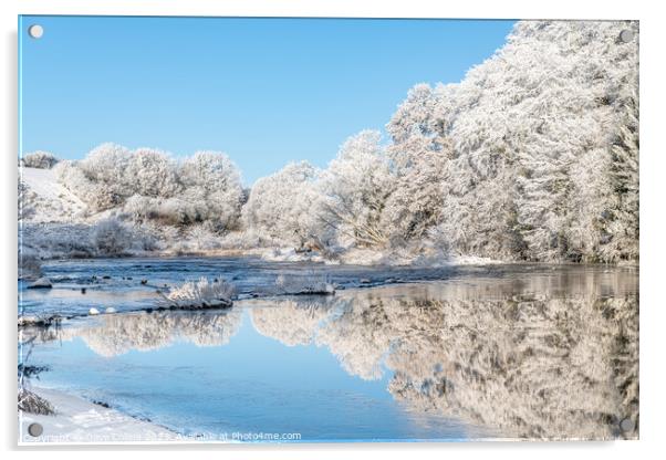Ice and frost on trees reflected in the River Teviot Acrylic by Dave Collins