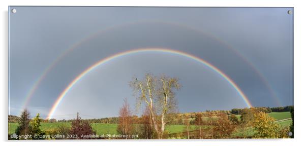 Double Rainbow over Ash Tree in winter in the Scottish Borders United Kingdom Acrylic by Dave Collins