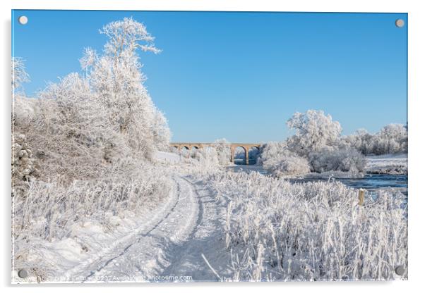 Roxburgh Viaduct over the river teviot in snow in  Acrylic by Dave Collins