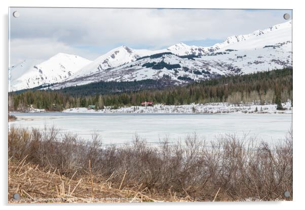 Frozen Lower Summit lake with lakeside cabins on the Kenai Peninsular, Alaska, USA Acrylic by Dave Collins