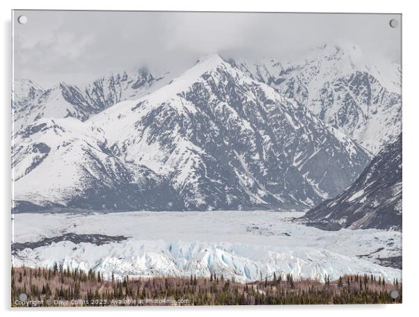 Matanuska Glacier face with snow covered mountains behind in Alaska, USA Acrylic by Dave Collins