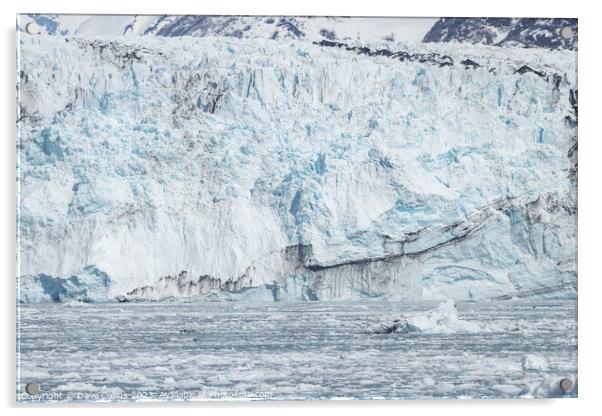 Harvard Tidewater Glacier at the end of College Fjord, Alaska, USA Acrylic by Dave Collins